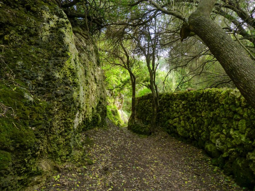 Barranc d'Algendar - Discover Menorca’s Most Impressive Gorge